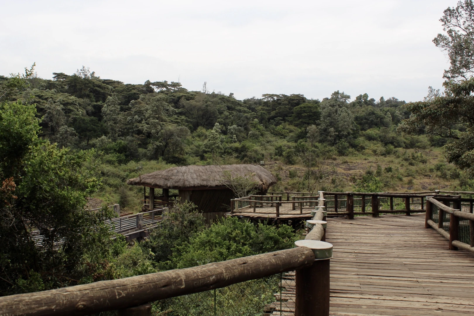 A quiet walking path in Nairobi National Park